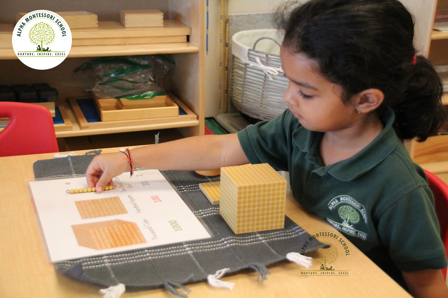 Elementary School in Plano | Alpha Montessori