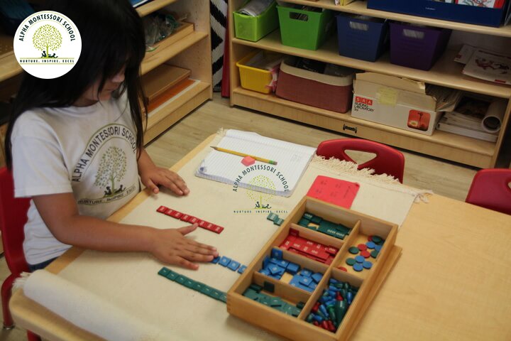 Elementary Teaching in Montessori School Plano | Alpha Montessori Plano