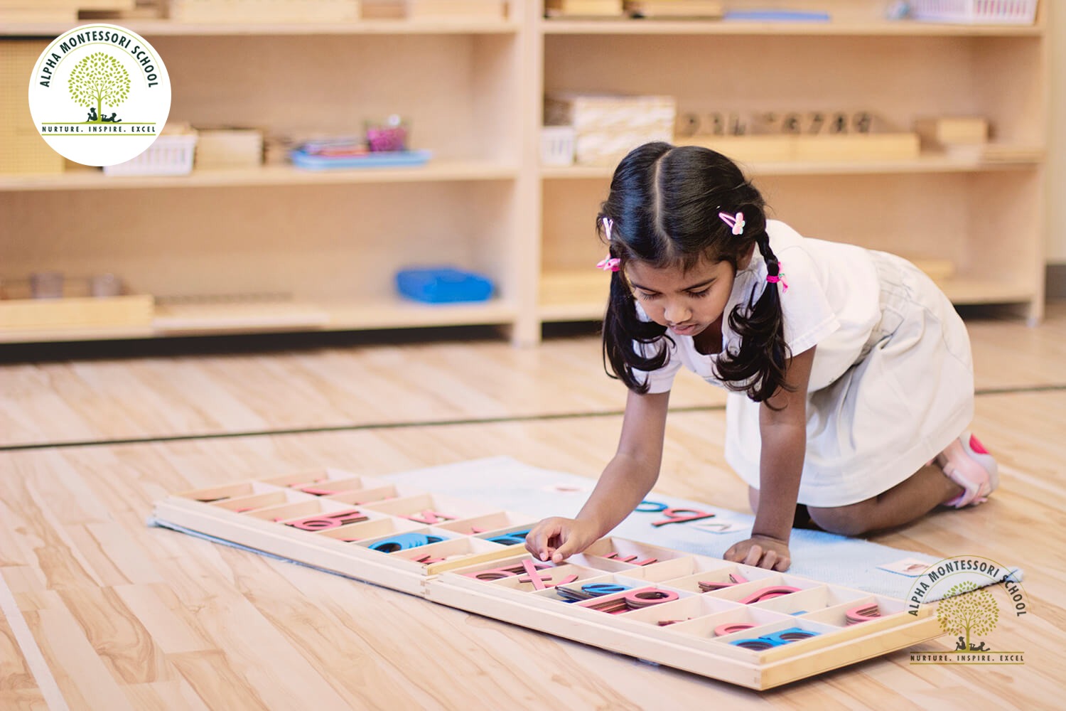 preschool learning in Montessori School Frisco | Alpha Montessori