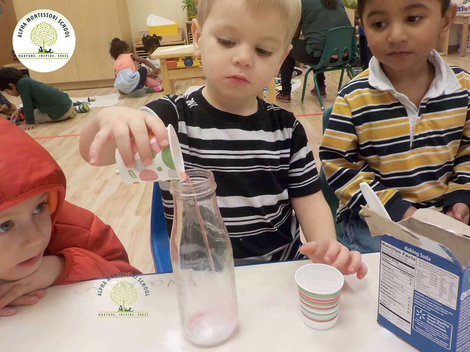 Toddler learning in Montessori School in Plano | Alpha Montessori Plano