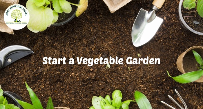 Start a Vegetable Garden- Montessori activites at home