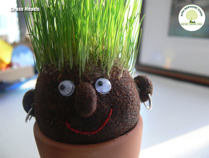 Grass Heads - Alternative Gardening Ideas | Alpha Montessori