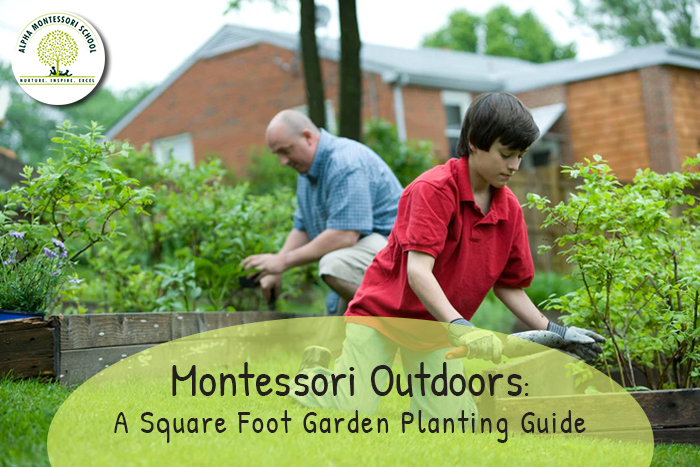 Square Foot Gardening Planting Guide Montessori Outdoors Alpha School - Square Foot Gardening Spacing Marigold
