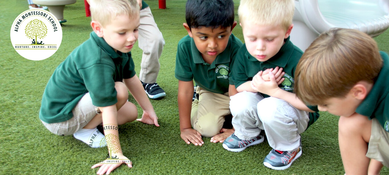 Preschool in Plano | Alpha Montessori School