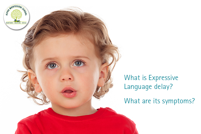 xpressive language skills xpressive language skills