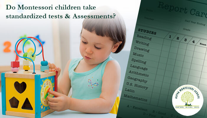 Montessori vs Traditional Grading system and Academics - Alpha Montessori School